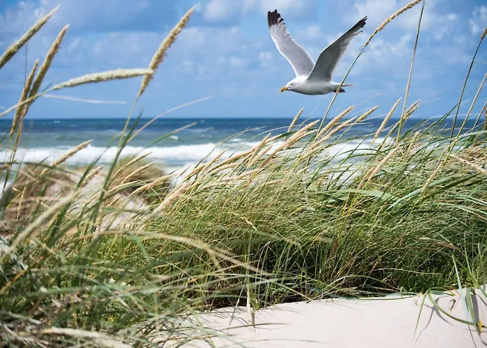 Penthouse In Near * Knokke-Heist